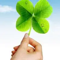 四叶草qq头像 幸福好运常伴您四叶草 卡通男孩图片四叶草情侣头像雾