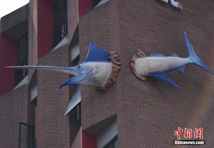 重庆高楼现3米剑鱼穿墙而过 (组图)