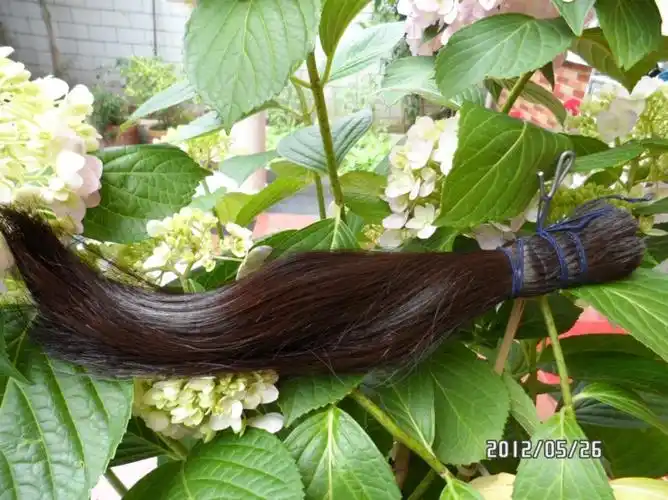 晒晒我的长发藏品15