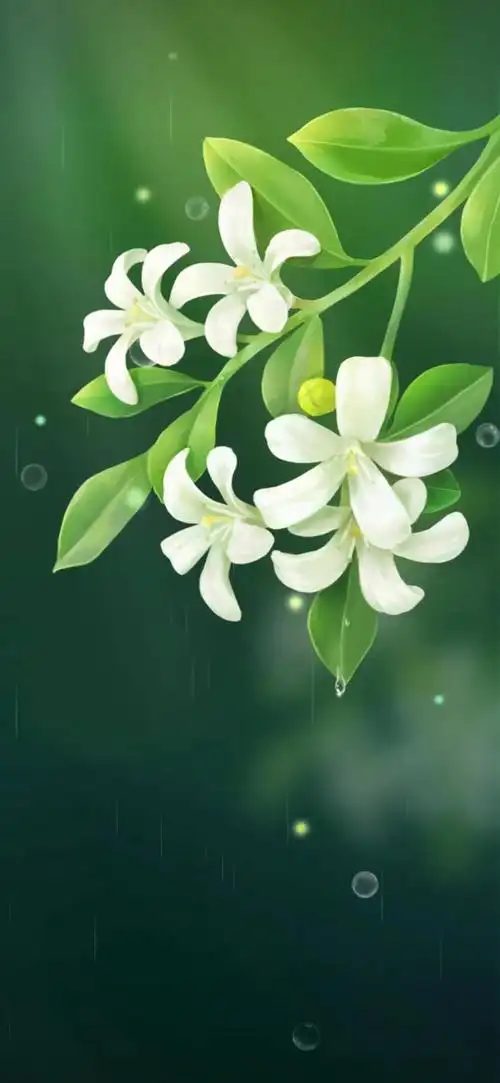 护眼屏保手机壁纸绿色(护眼壁纸手机高清绿色)