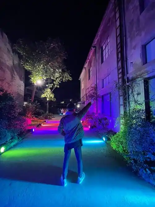 何炅晒比v打卡背影照 发文告别乌镇戏剧节