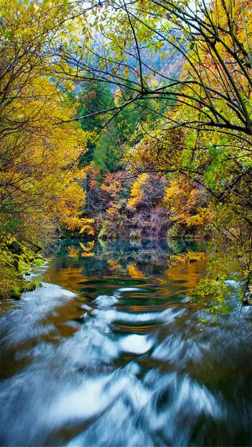 人间仙境九寨沟唯美风景精选手机壁纸图片大全下载