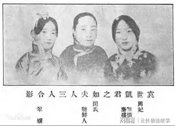 袁世凯在朝鲜期间,沈氏甚至还一度地以正房妻子的名义与袁世凯出席着