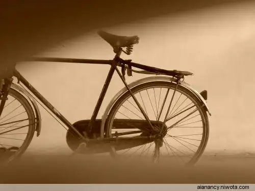 70年代的怀旧童年