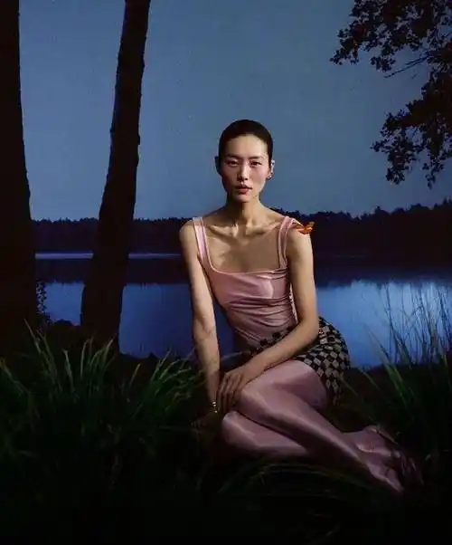 崔始源刘雯韩国新闻_刘雯雯 腾讯课堂_明星刘雯新闻