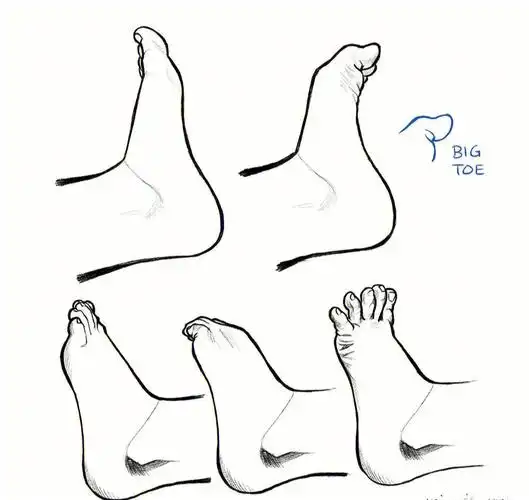 手和脚绘画素材参考人体练习