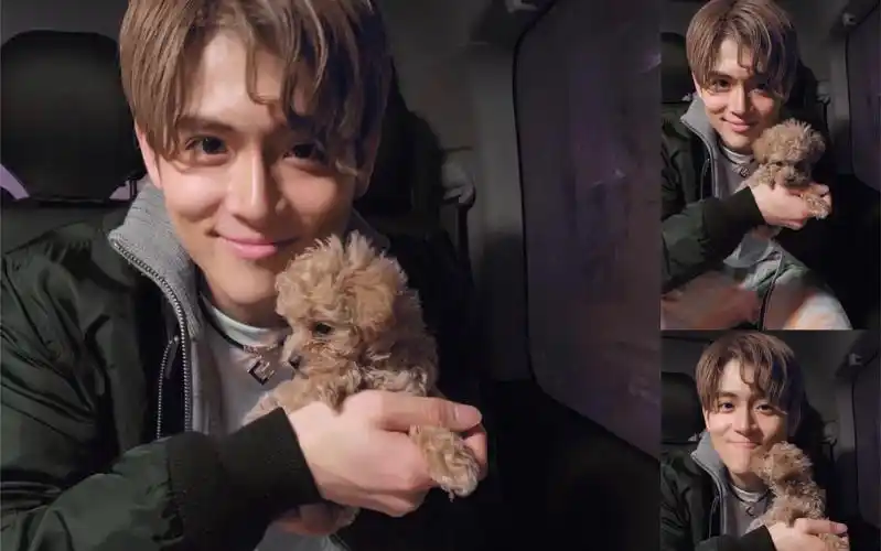 力丸|riki maru| 丸子和po酱的第一次见面