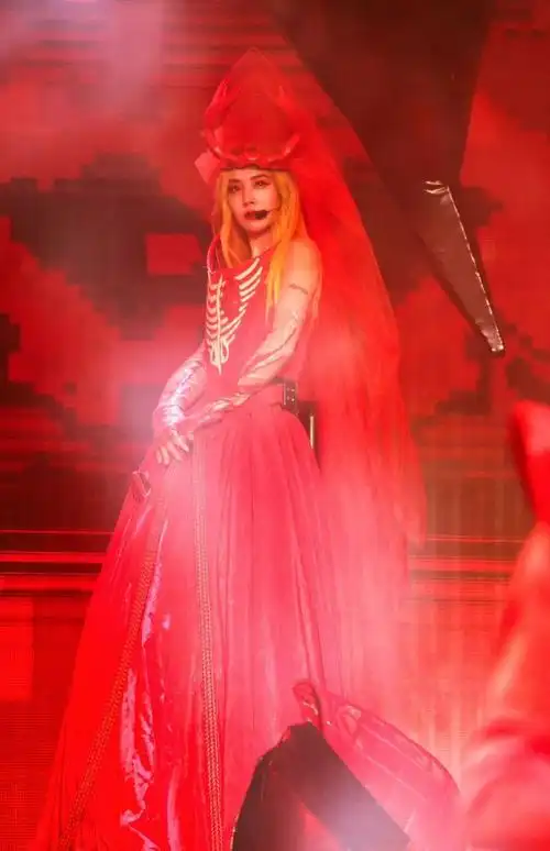 蔡依林演唱会军训式应援