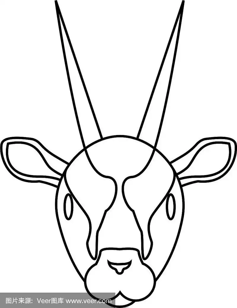 可爱的羚羊的脸