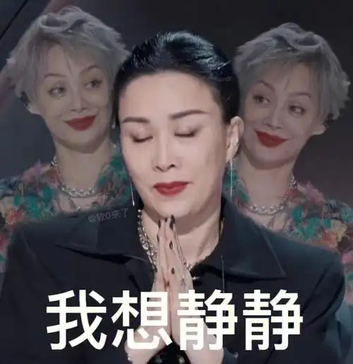 那手好戏#沙雕表情包  #文明骂人