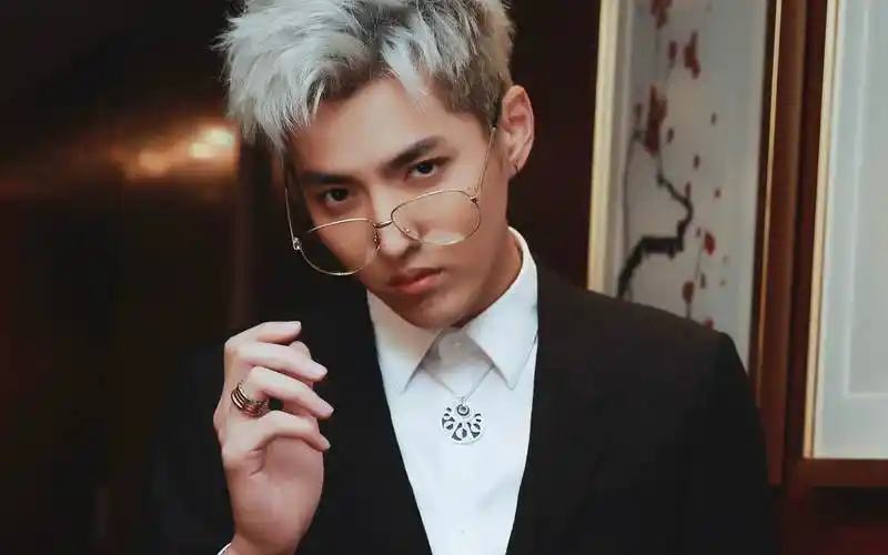 吴亦凡回应追星典范李雪琴:别管我在哪,你看那灯,多亮