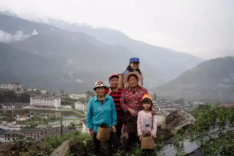 茶山采茶的门巴族家庭;墨脱茶是当地农业局开展的农牧特色产业,以茶