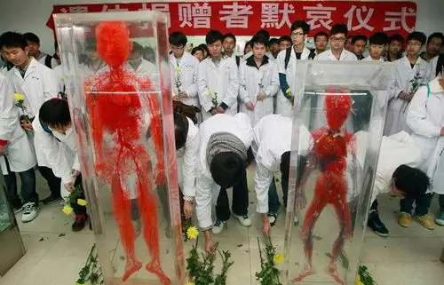 4月3日湖南衡阳南华大学医学院师生们在人体标本陈列室里向遗体捐献者