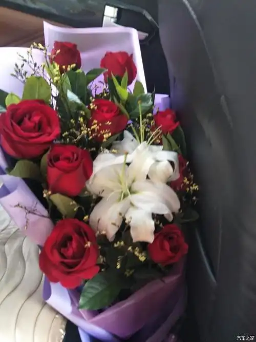 收到这一束花  开心了许久