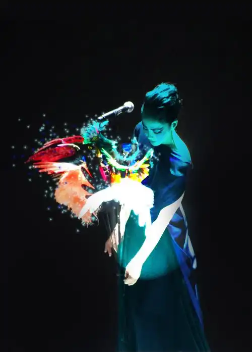 2010 — 2011 王菲演唱会