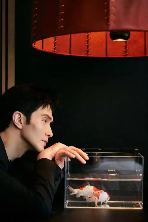 高伟光连发35条微博 粉丝让发自拍也乖乖发了,幸福晕了~ 67