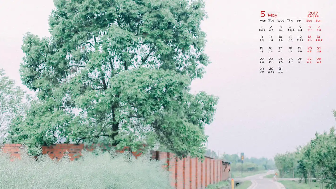2017年5月日系绿色小清新静物唯美高清桌面日历壁纸