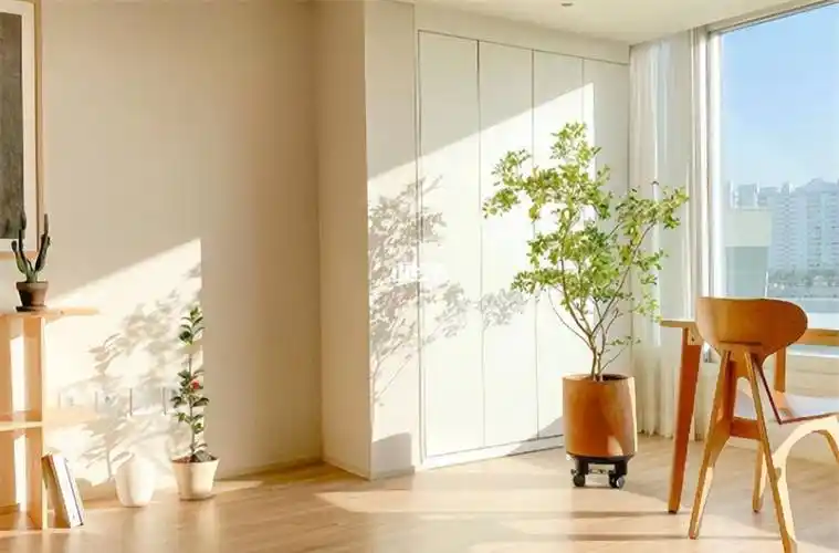 建筑_古代_阳光