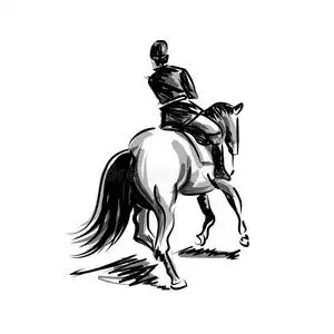 马背上的骑手图片