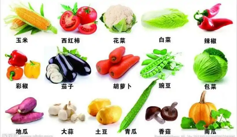 常见的100种蔬菜名称图片(常见的100种蔬菜名称图片中文)