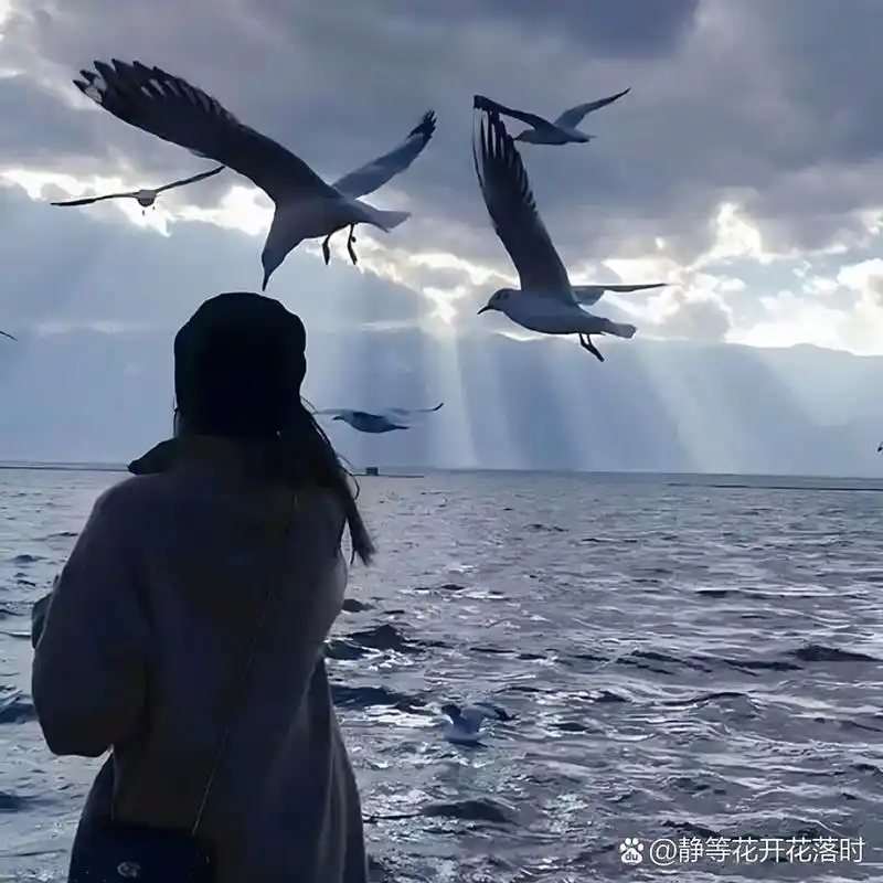 海边,女,背影,伤感 海边,女,伤感