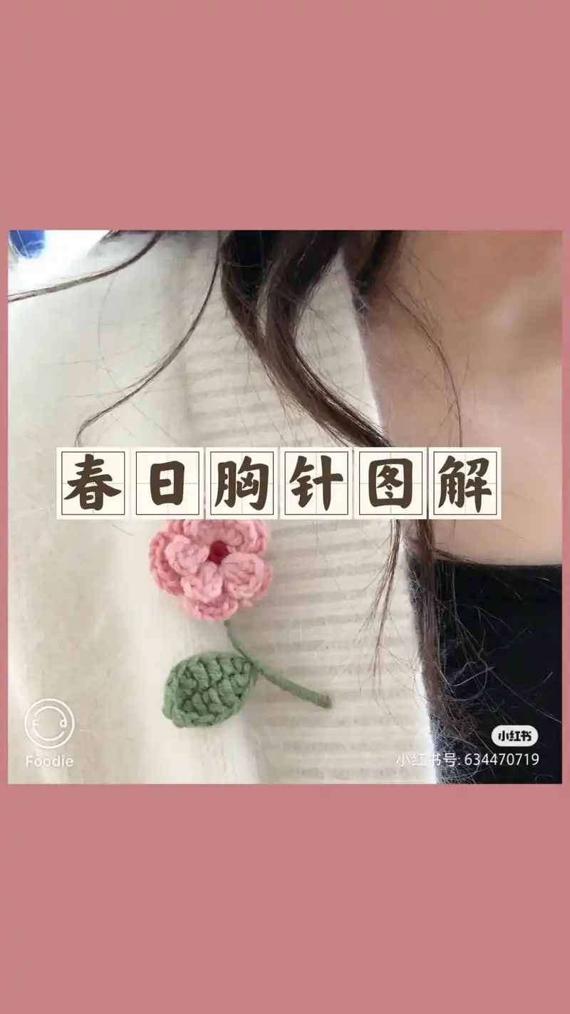 钩针图解 | 春日胸针图解.#爱生活爱编织 #手工diy # - 抖音