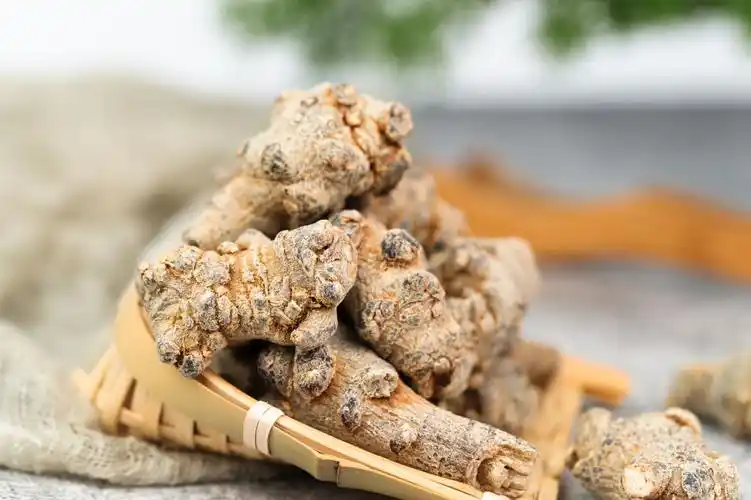 田七种植方法与生长环境