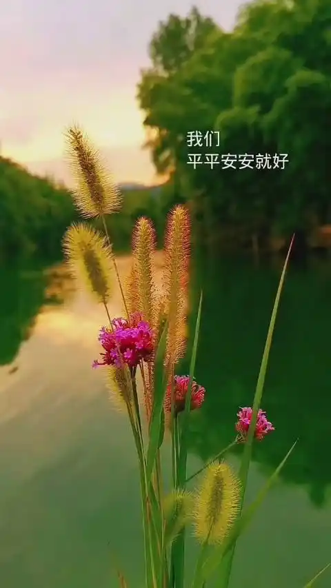 在无法预料的未来里我们平平安安就好愿没有疫情