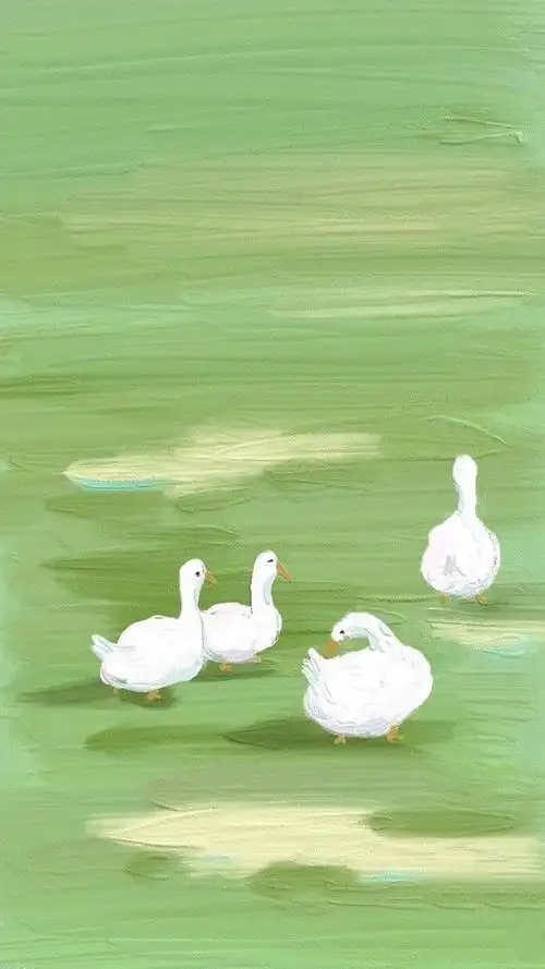 ins清新治愈壁纸丨昂首碰见的都是柔情 - 图片壁纸 上海视道文化传媒