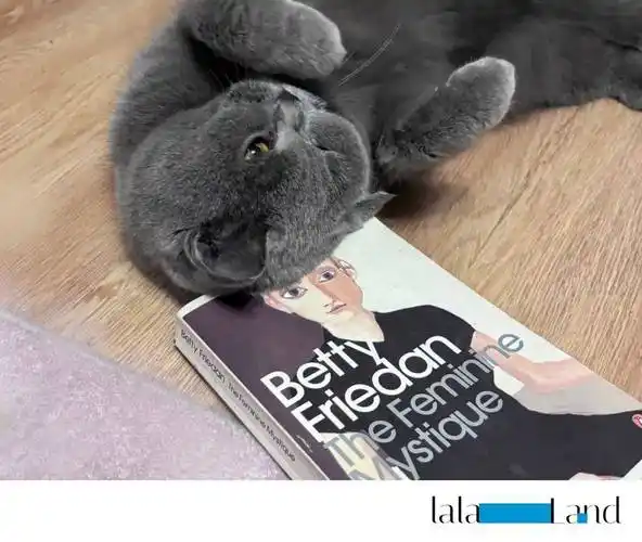 一无所有地活到40岁,发现也不算太坏.