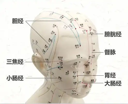 初春时节阳气升发健康生活从疏通头部经络开始