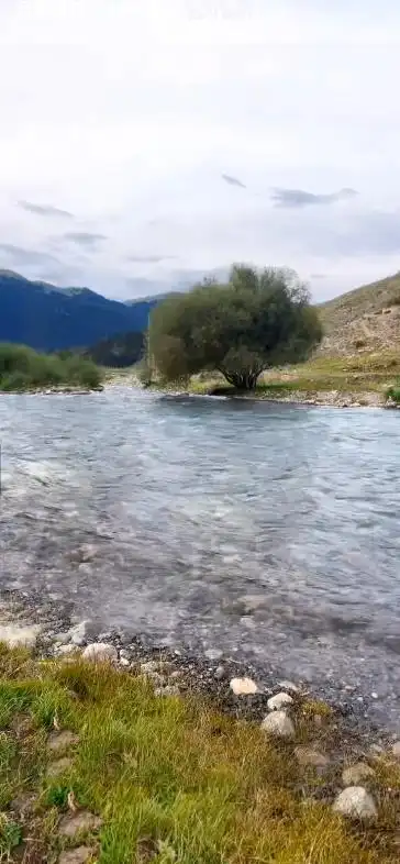 "假壁纸"1080p60帧可以拿都可以拿