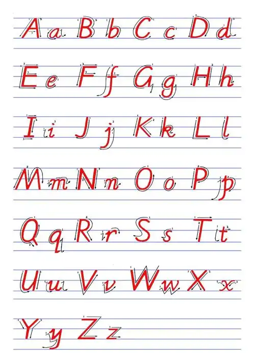 分大小写.就是:a a. b b. cc . 英文26个字母的大小写如下图所示