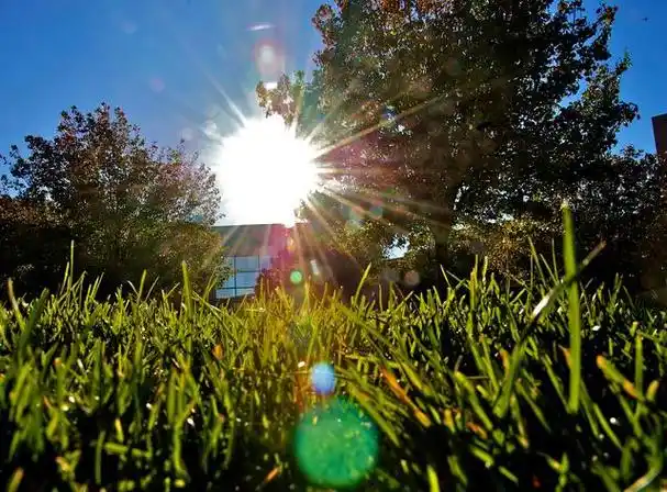 晨曦中,一缕阳光透过窗户,洒在白色的窗帘上,映出了一片温暖.