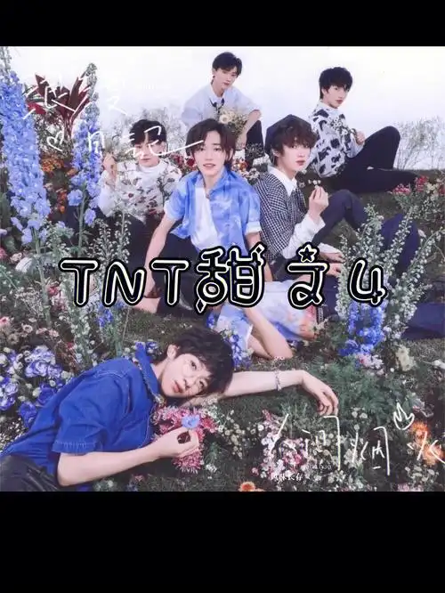 tnt甜文4