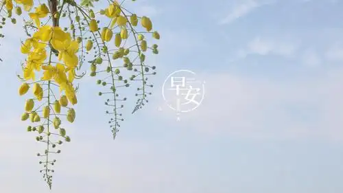电脑壁纸 节日 节日合集 新的一天早安图片带字