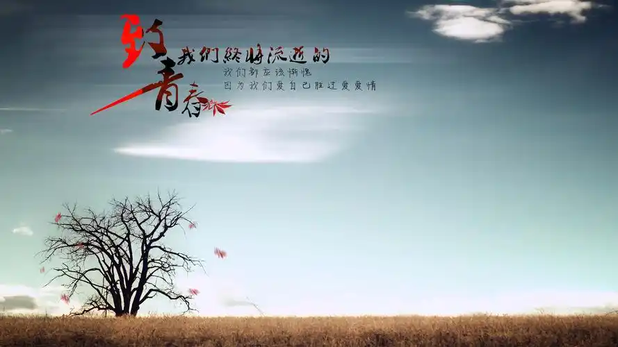 致青春唯美高清桌面壁纸