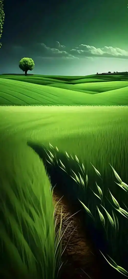 壁纸 | 高清养眼绿色壁纸,熬夜党看过来