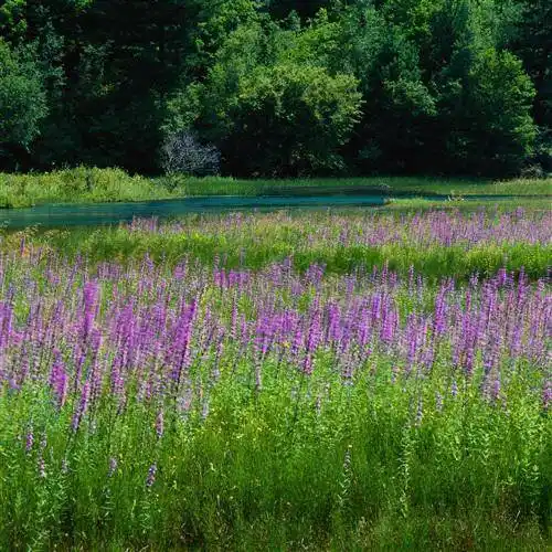 高清真实风景微信头像,太美我我忍住制作分享出来_相关_整理_标题