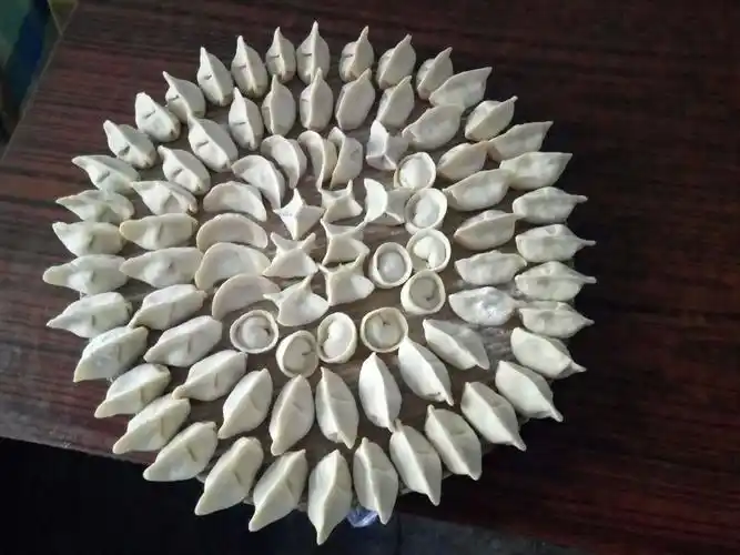 各式各样的饺子