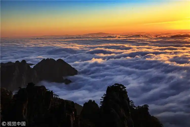 安徽黄山雨后现大面积云海 气势磅礴2019-01-06