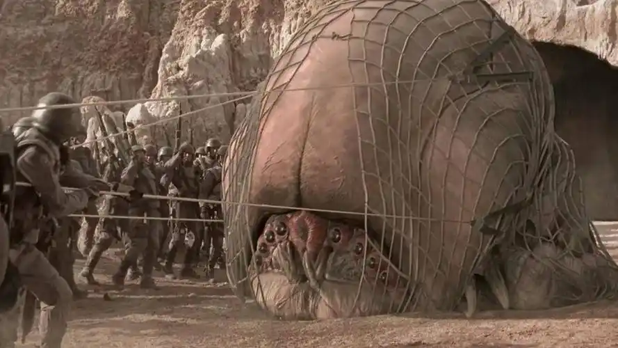 什么样的外星人可以直接打死|大象公会