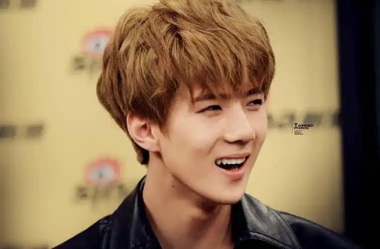 求一下吴世勋刚刚出道时候的图