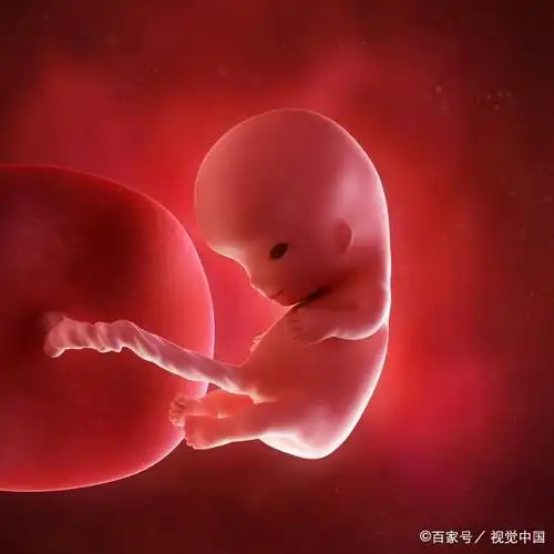 怀孕4个月,胎儿在孕妈肚子里做些啥?看过之后,感到生命好神奇