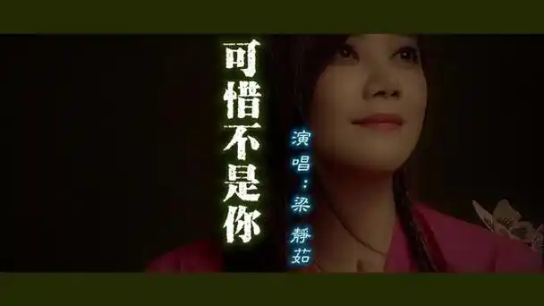 梁静茹_可惜不是你 #精选歌曲