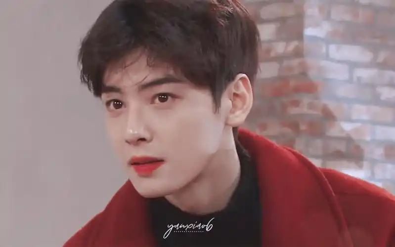 脸蛋天才车银优