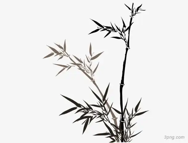 水墨竹子png素材透明免抠图片-装饰效果