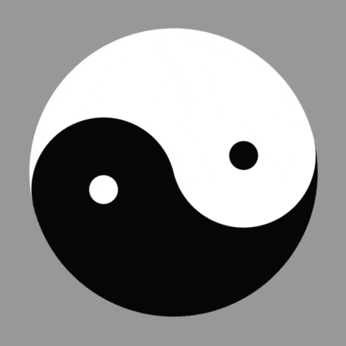 (东周战国时期),后见于《易传》(周易·系辞):"易有太极,是生两仪