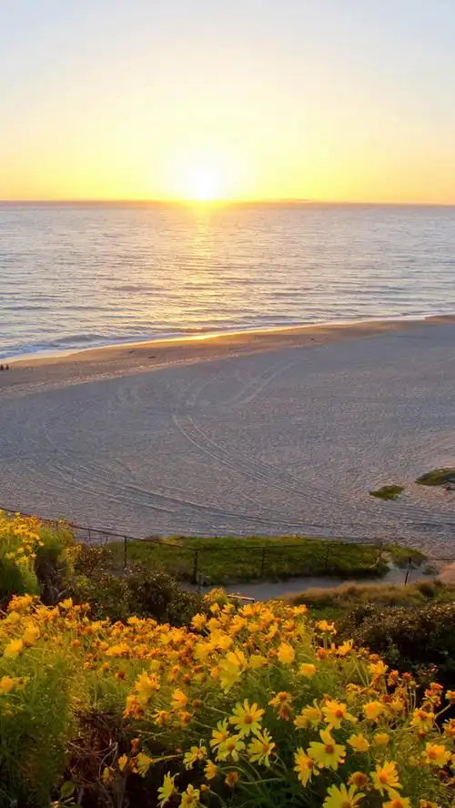 马里布海滩高清风景h5背景