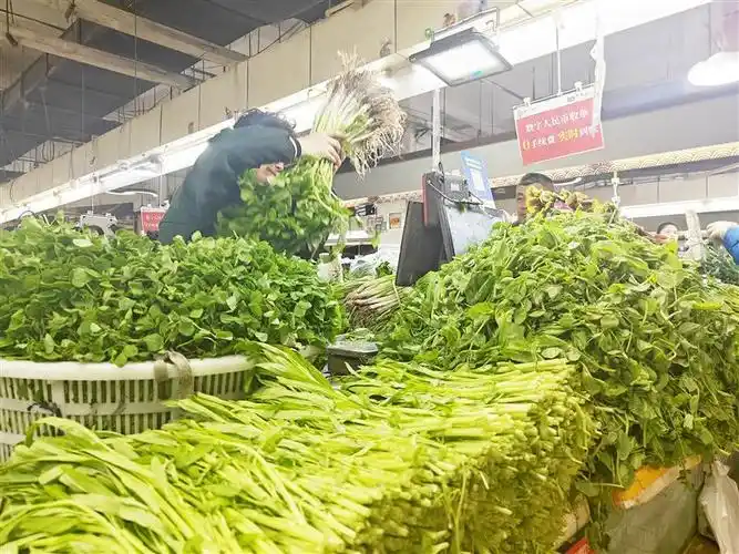 在锡城农贸市场,每斤3元以内的蔬菜唱起"主角",市民的"菜篮子"更加